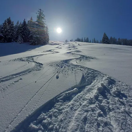 Gartenwohnung Ritter Daire