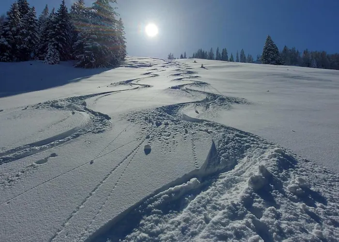 Gartenwohnung Ritter Appartamento