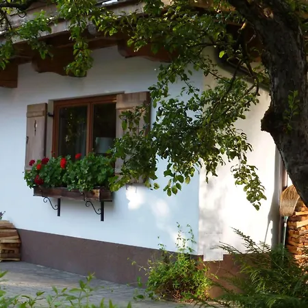 Gartenwohnung Ritter Kitzbühel