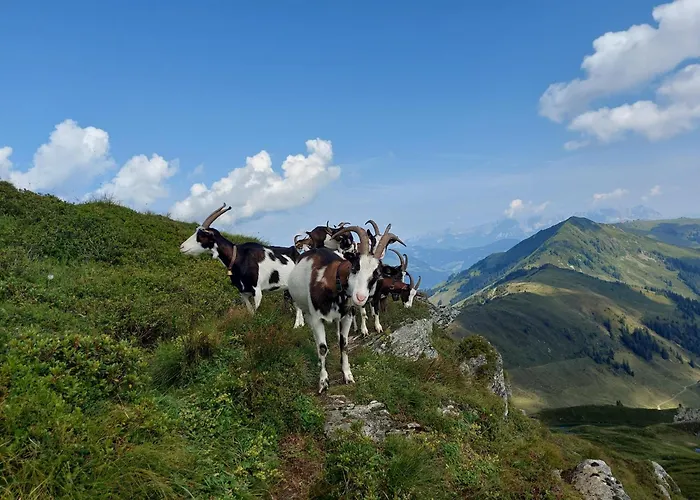 Gartenwohnung Ritter Lägenhet